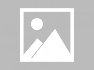 ChatGPT插件入口使用指南,新手必看教程