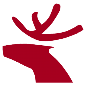 王迁:ChatGPT生成物与“猕猴自拍”无异,不应受著作权法保护